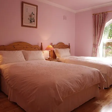 Deerpark House Эннистимон