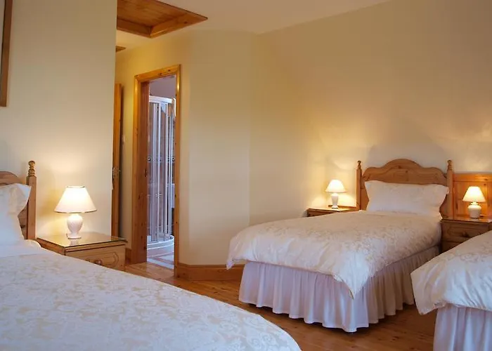 Deerpark House אניסטימון